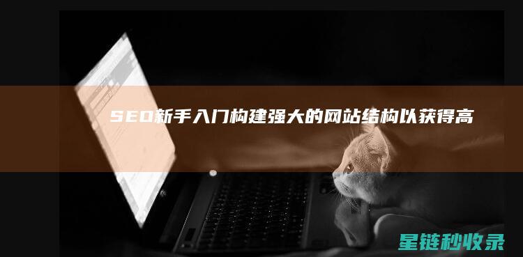 SEO新手入门：构建强大的网站结构以获得高排名 (seo初级入门教程)