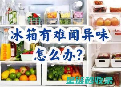 冰箱除异味妙招大集合：天然与科技的完美结合 (冰箱除异味妙招)