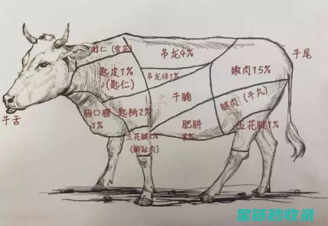 探索多种切牛油果方式：打造完美的开裂效果 (探索多种切牛肉的方法)