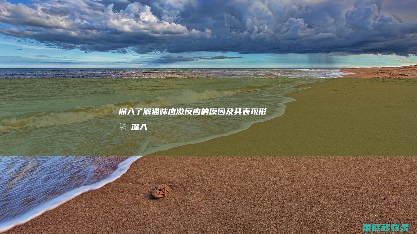 深入了解猫咪应激反应的原因及其表现形式 (深入了解猫咪的秘密)