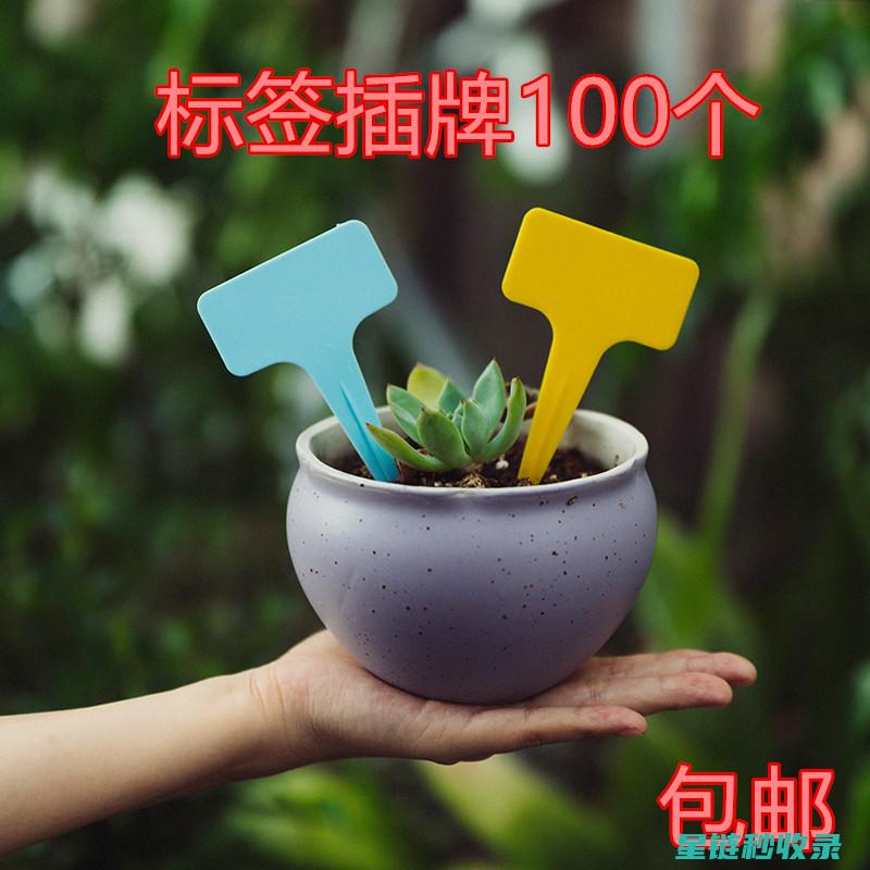 植物标签大全：轻松识别花草树木的秘密武器 (植物标签大全100种)