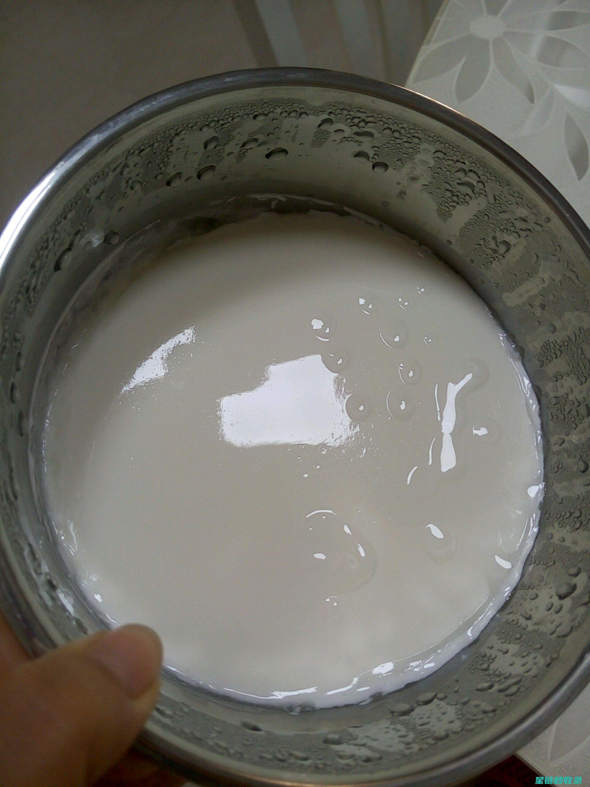 探索自制酸奶秘方，享受健康与美味双重体验 (探索自制酸奶的方法)