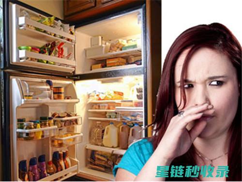 冰箱除异味新方案：冰块+茶叶组合除味法 (冰箱巧除异味)