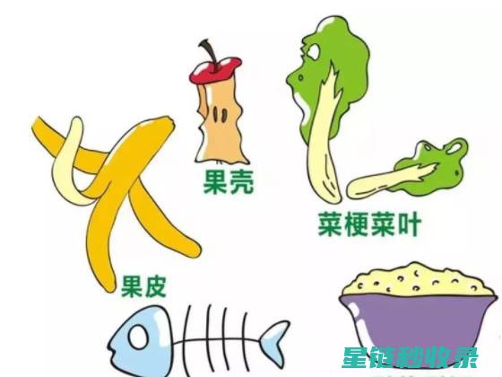 厨余垃圾除味技巧全解析 (厨余垃圾除味剂有哪些)
