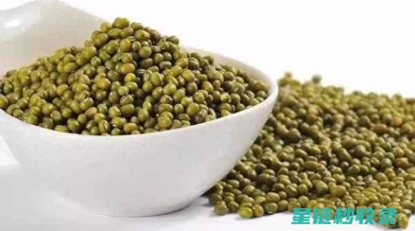 快速煮豆：简单几步，轻松搞定豆类美食 (怎样快速煮豆)
