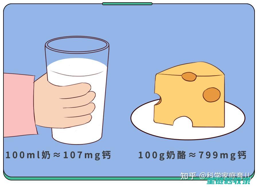 奶酪保存指南：从购买到储存，全程护航 (奶酪保存指南最新)