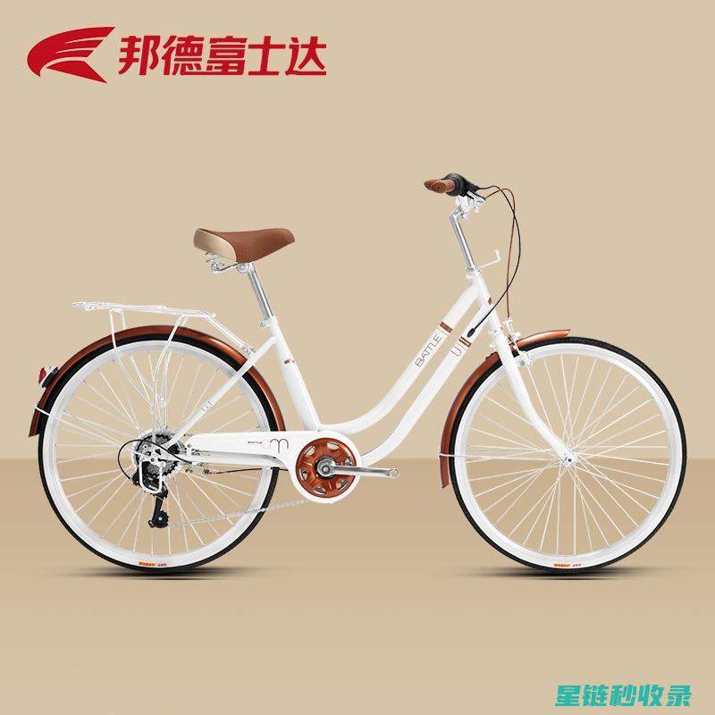 自行车链条润滑：为什么说润滑剂的选择很重要？ (自行车链条润滑油)