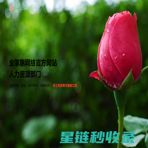 金掌惠网络